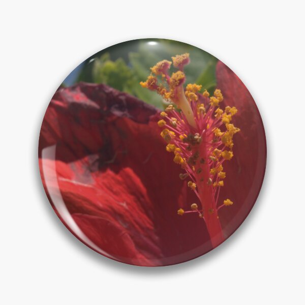 Item preview, Beautiful Red Hibiscus Closeup with Sunburnt Petals designed and sold by Petalgrain.