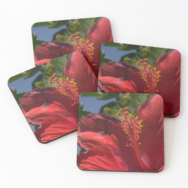 Item preview, Beautiful Red Hibiscus Closeup with Sunburnt Petals designed and sold by Petalgrain.