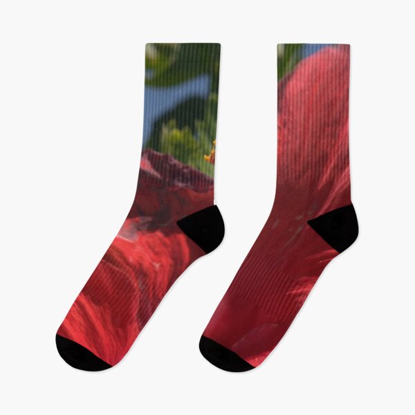Item preview, Beautiful Red Hibiscus Closeup with Sunburnt Petals designed and sold by Petalgrain.