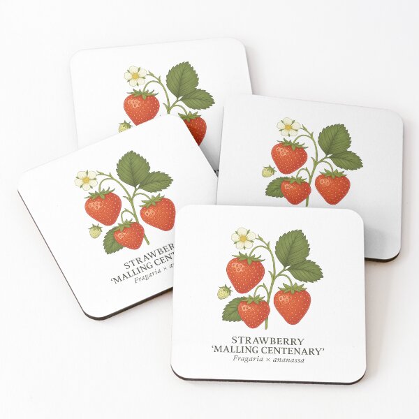 Item preview, Strawberry ‘Malling Centenary’ – Fragaria × ananassa designed and sold by BloomKind.