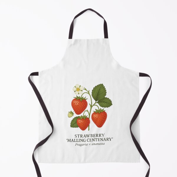 Item preview, Strawberry ‘Malling Centenary’ – Fragaria × ananassa designed and sold by BloomKind.