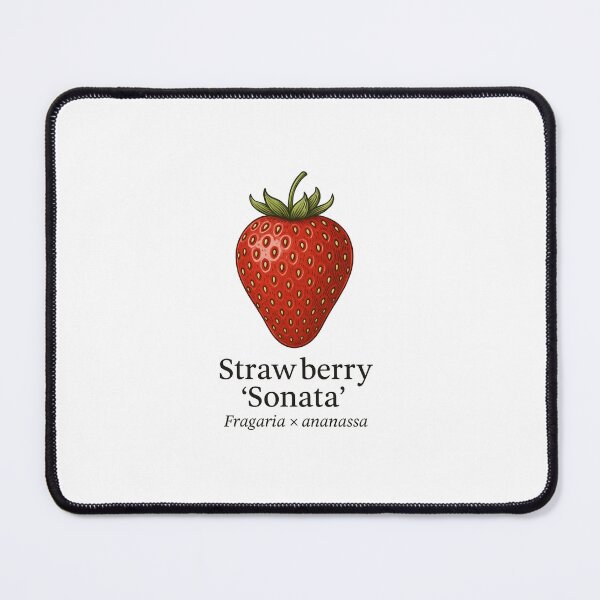 Item preview, Strawberry ‘Sonata’ – Fragaria × ananassa designed and sold by BloomKind.