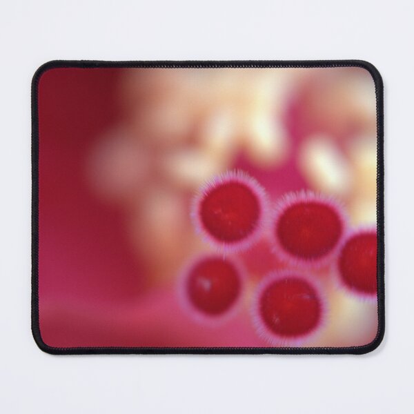 Item preview, Fuzzy Red Hibiscus Stigma Tips in Shallow Focus designed and sold by Petalgrain.