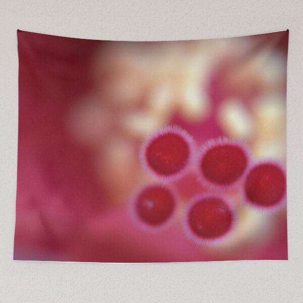 Item preview, Fuzzy Red Hibiscus Stigma Tips in Shallow Focus designed and sold by Petalgrain.