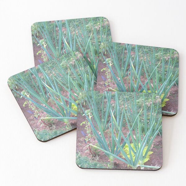 Item preview, DIY Onion Patch in Dirt Garden Hole designed and sold by Petalgrain.