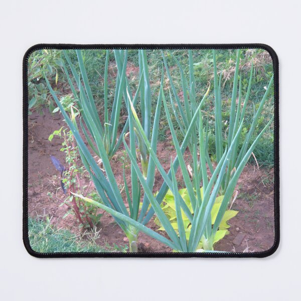 Item preview, DIY Onion Patch in Dirt Garden Hole designed and sold by Petalgrain.