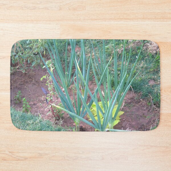 Item preview, DIY Onion Patch in Dirt Garden Hole designed and sold by Petalgrain.