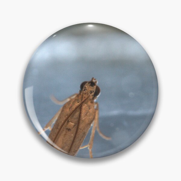 Item preview, Tan Micro‑Moth Resting on Metallic Surface Macro designed and sold by Petalgrain.