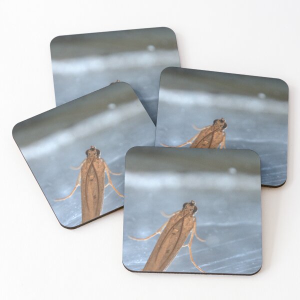 Item preview, Tan Micro‑Moth Resting on Metallic Surface Macro designed and sold by Petalgrain.