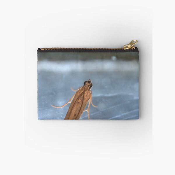 Item preview, Tan Micro‑Moth Resting on Metallic Surface Macro designed and sold by Petalgrain.