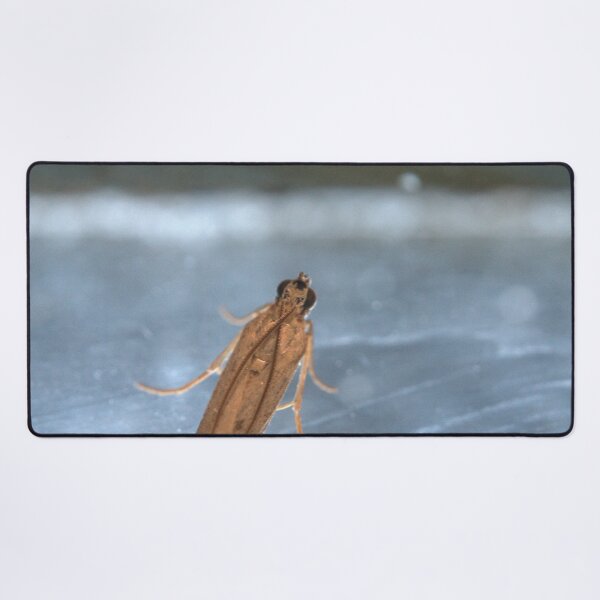 Item preview, Tan Micro‑Moth Resting on Metallic Surface Macro designed and sold by Petalgrain.