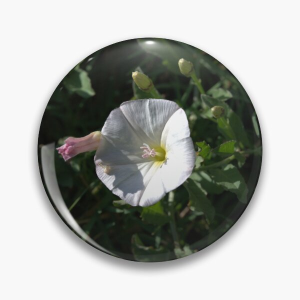 Item preview, Bindweed Bloom with Pink Bud and Arrow Leaves designed and sold by Petalgrain.