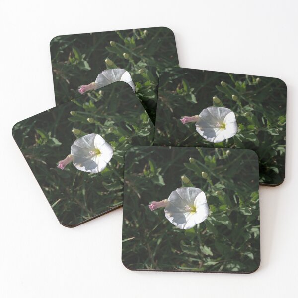 Item preview, Bindweed Bloom with Pink Bud and Arrow Leaves designed and sold by Petalgrain.