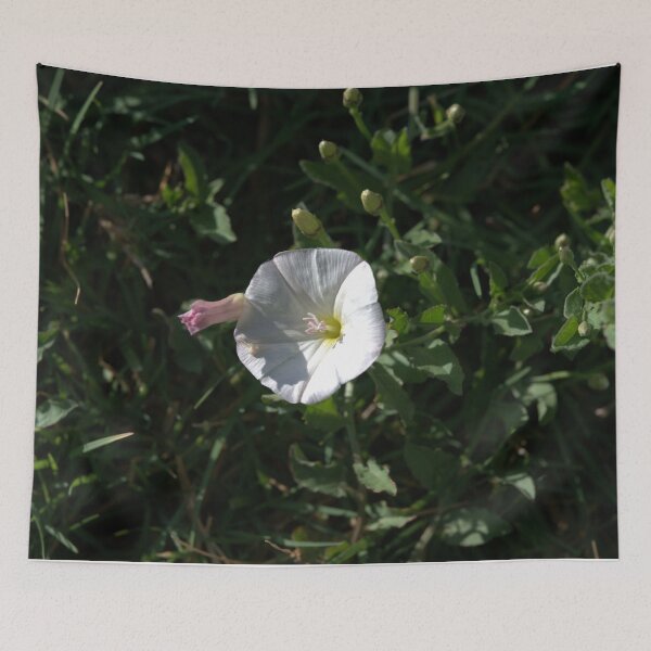 Item preview, Bindweed Bloom with Pink Bud and Arrow Leaves designed and sold by Petalgrain.