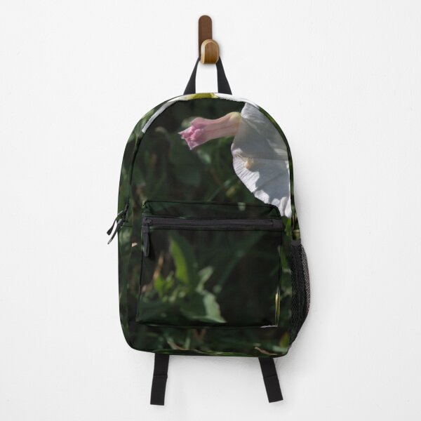 Item preview, Bindweed Bloom with Pink Bud and Arrow Leaves designed and sold by Petalgrain.