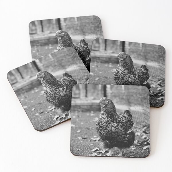 Aperçu de l'œuvre Poulet noir et blanc créée et vendue par WhisperedWoods.