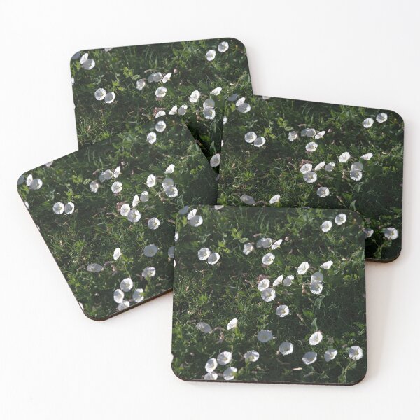 Item preview, Broad Patch of White Bindweed Flowers Among Grass designed and sold by Petalgrain.