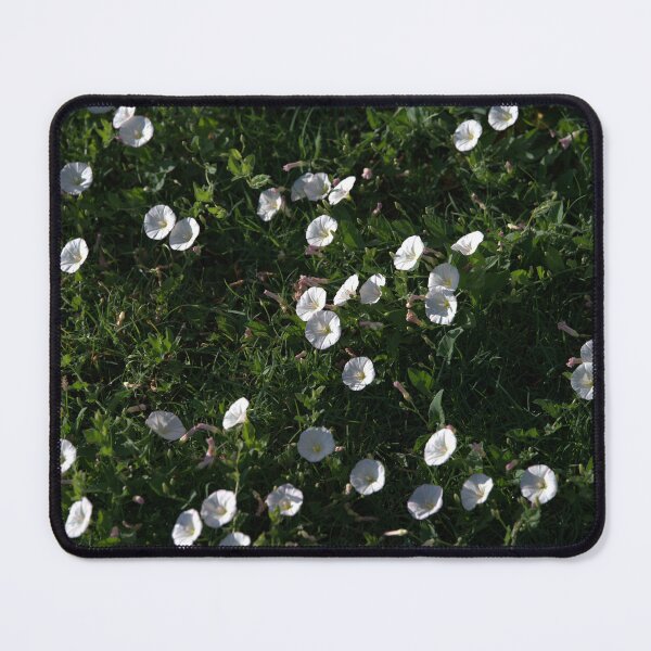 Item preview, Broad Patch of White Bindweed Flowers Among Grass designed and sold by Petalgrain.