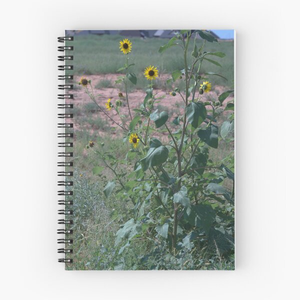 Item preview, Wild Sunflower Stalky Plant Among the Grassy Plains designed and sold by Petalgrain.