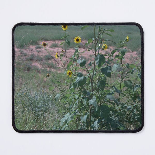 Item preview, Wild Sunflower Stalky Plant Among the Grassy Plains designed and sold by Petalgrain.