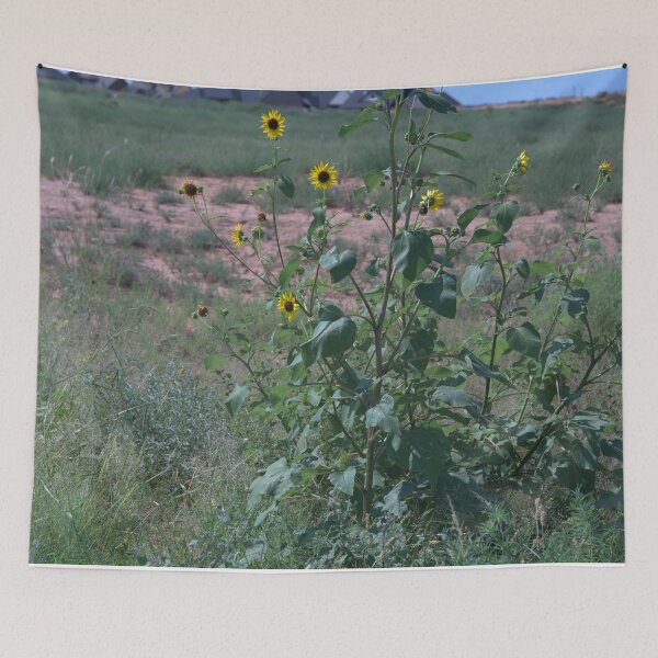 Item preview, Wild Sunflower Stalky Plant Among the Grassy Plains designed and sold by Petalgrain.