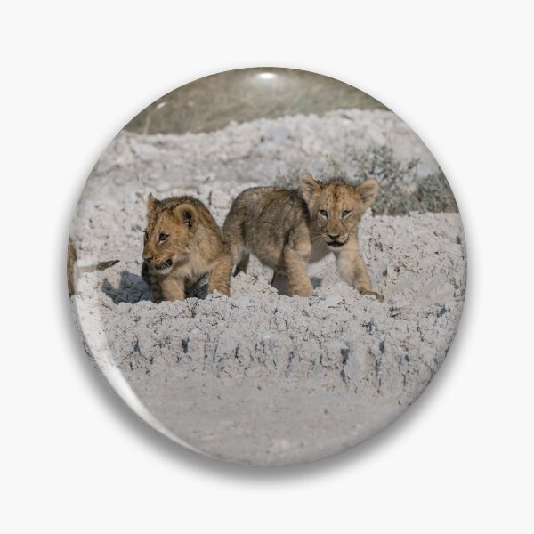Item preview, Tiny Paws on White Dust — Four Lion Cubs Following Mom, Etosha (May 2025) designed and sold by DavideAntoniani.
