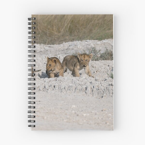 Item preview, Tiny Paws on White Dust — Four Lion Cubs Following Mom, Etosha (May 2025) designed and sold by DavideAntoniani.