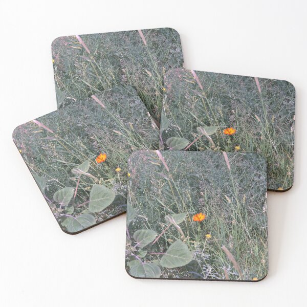 Item preview, Orange Cosmos Wildflower Bloom Amid Grasses and Weeds designed and sold by Petalgrain.