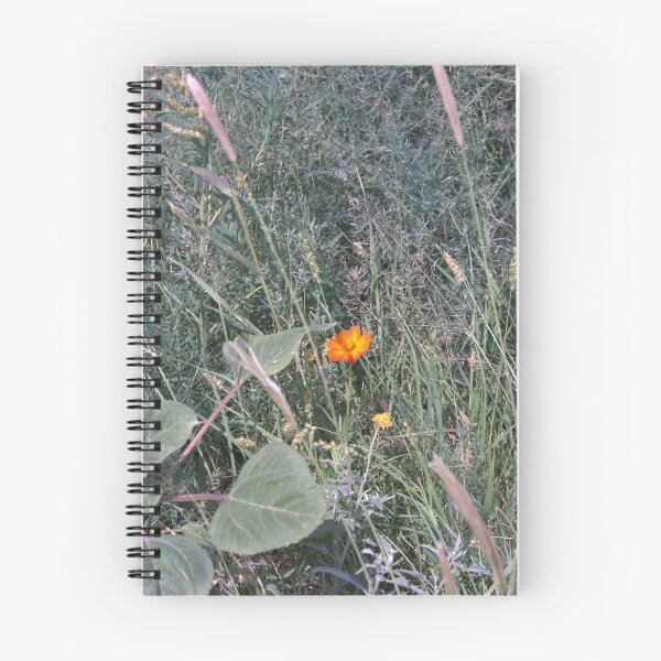 Item preview, Orange Cosmos Wildflower Bloom Amid Grasses and Weeds designed and sold by Petalgrain.