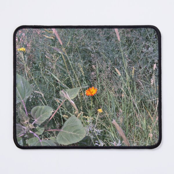 Item preview, Orange Cosmos Wildflower Bloom Amid Grasses and Weeds designed and sold by Petalgrain.