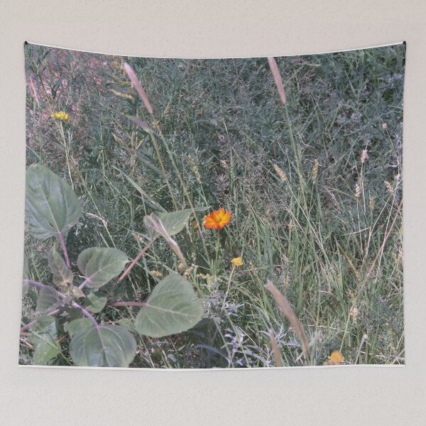 Item preview, Orange Cosmos Wildflower Bloom Amid Grasses and Weeds designed and sold by Petalgrain.