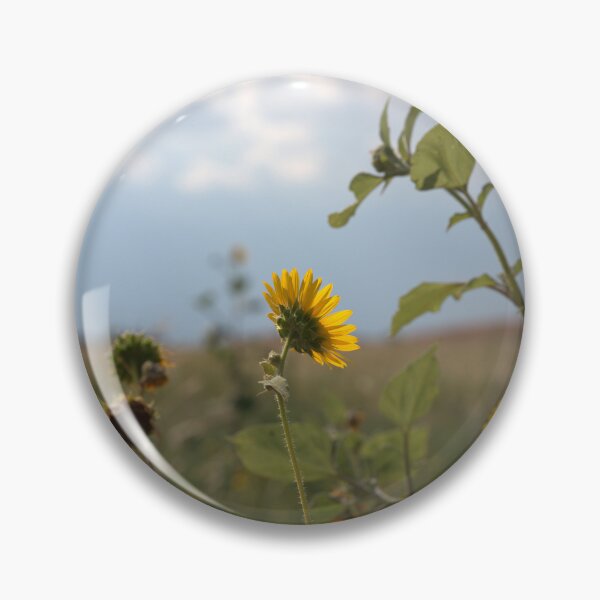 Item preview, Backlit Wild Sunflowers with Seed Heads Against Sky designed and sold by Petalgrain.