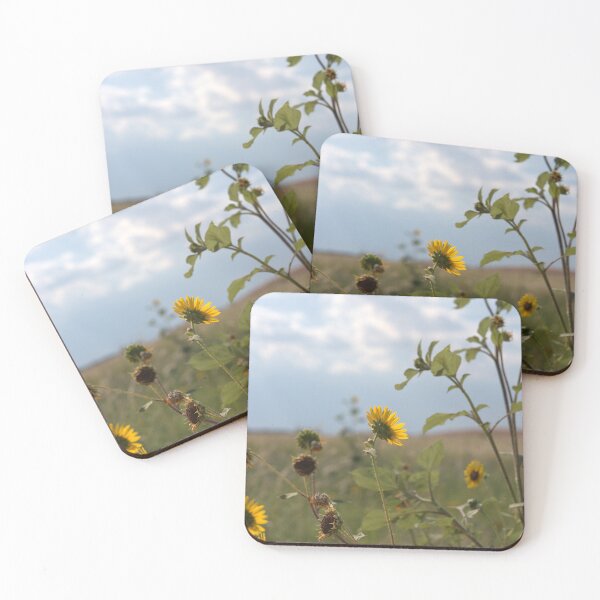 Item preview, Backlit Wild Sunflowers with Seed Heads Against Sky designed and sold by Petalgrain.