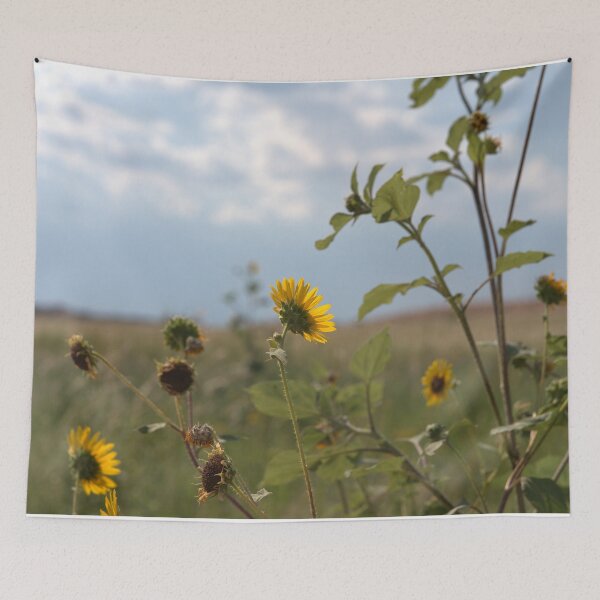 Item preview, Backlit Wild Sunflowers with Seed Heads Against Sky designed and sold by Petalgrain.