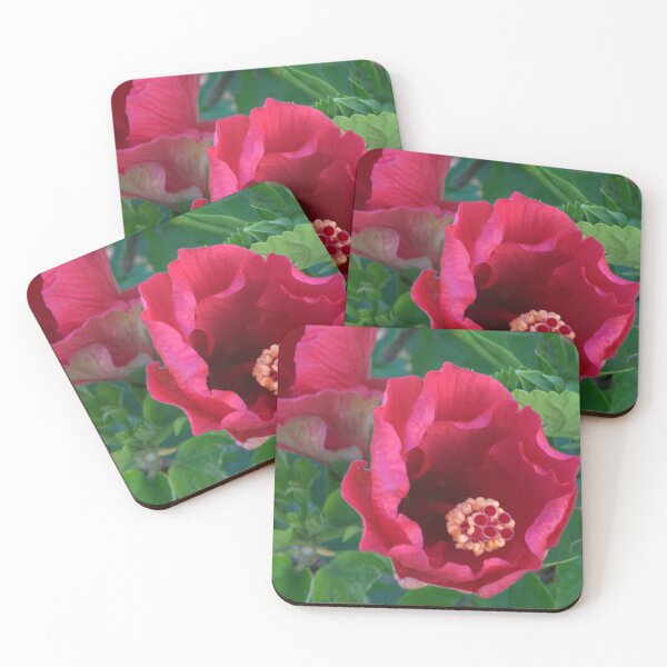 Item preview, Red Hibiscus Blooming on a Cool Summer Morning designed and sold by Petalgrain.