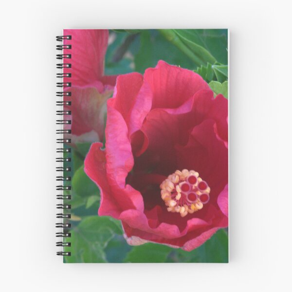 Item preview, Red Hibiscus Blooming on a Cool Summer Morning designed and sold by Petalgrain.