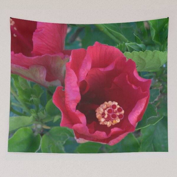 Item preview, Red Hibiscus Blooming on a Cool Summer Morning designed and sold by Petalgrain.