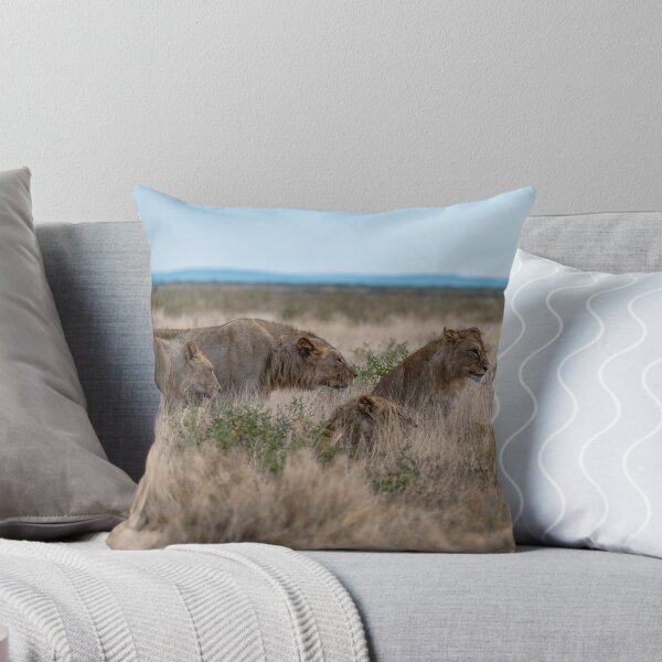 Item preview, Teen Patrol at Gemsbokvlakte — Subadult Lions in the Grass (Etosha, Namibia) designed and sold by DavideAntoniani.