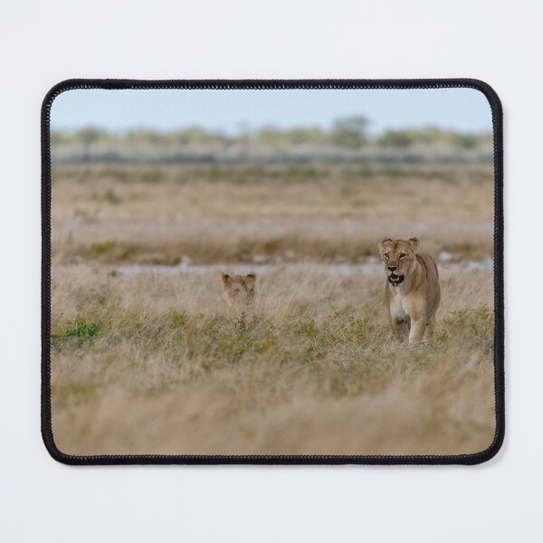 Item preview, Spotted Returning — Lioness Hurries Back to Hidden Cubs (Etosha, Namibia) designed and sold by DavideAntoniani.