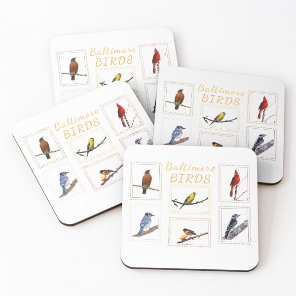 Item preview, Baltimore Birds Wildlife Nature Birdwatching  designed and sold by Auchi_Verse.