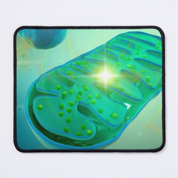 Item preview, Mitochondria Energy and Epoch Lasers designed and sold by Epoch-Lasers.