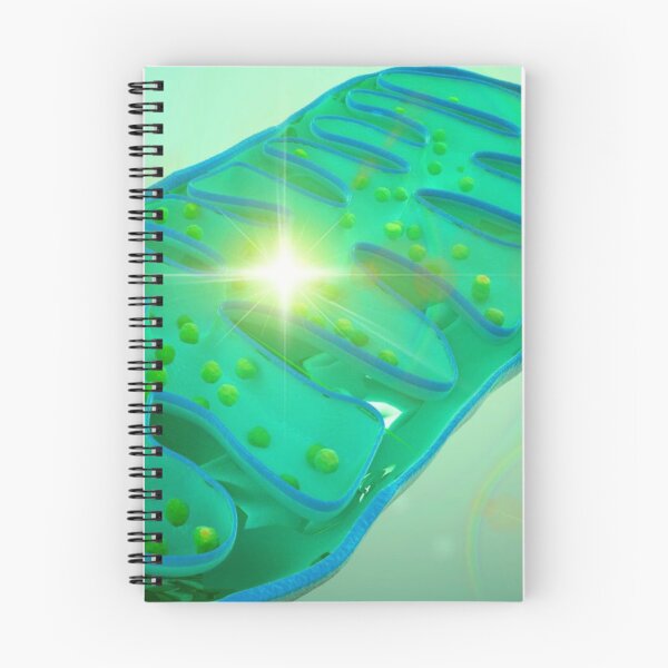 Item preview, Mitochondria Energy and Epoch Lasers designed and sold by Epoch-Lasers.