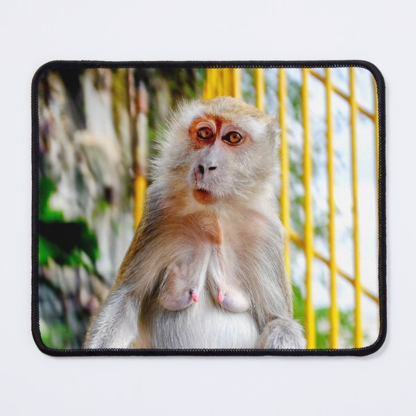 Item preview, Crab-eating macaque designed and sold by troianifabrizio.
