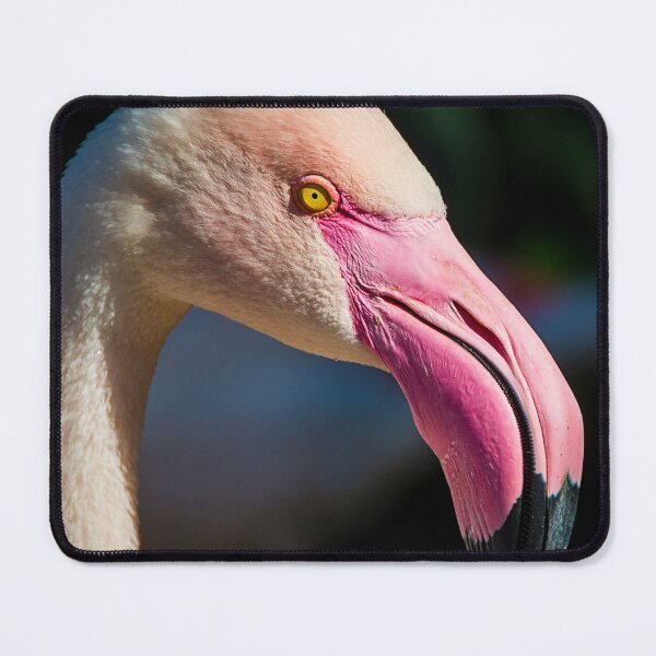 Item preview, The Quiet Stare designed and sold by WrightDesignsUS.