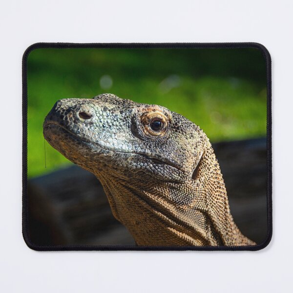 Item preview, Still Predator designed and sold by WrightDesignsUS.