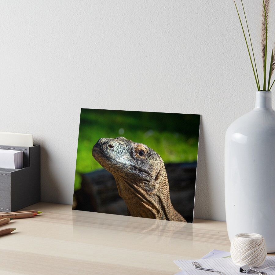 Item preview, Art Board Print designed and sold by WrightDesignsUS.