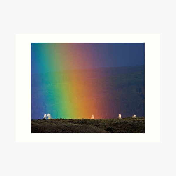 Rainbow Air, Ghost Trees Art Print