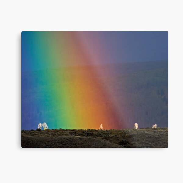 Rainbow Air, Ghost Trees Metal Print