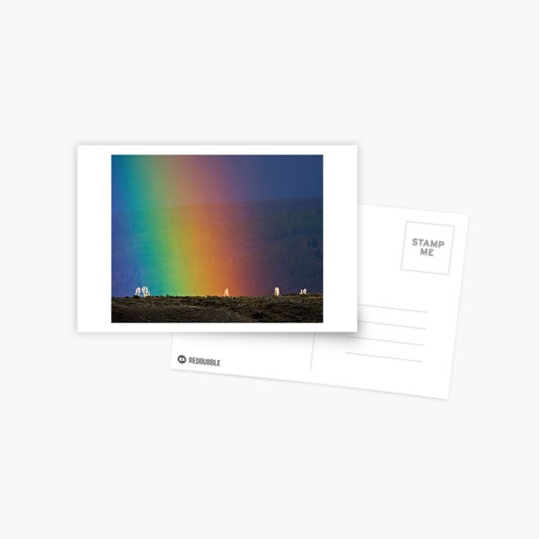 Rainbow Air, Ghost Trees Postcard