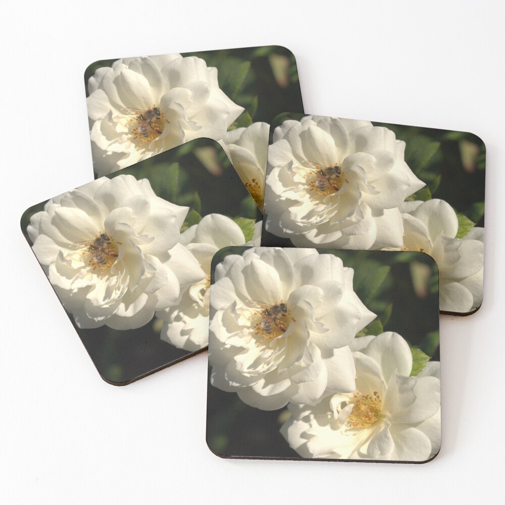 Item preview, Coasters (Set of 4) designed and sold by MangoSeeds.